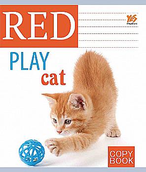 Зошит 48 кл. YES Red cat-17, 761201 (1322) Зошит 48 кл. YES Red cat-17, 761201 (1322)