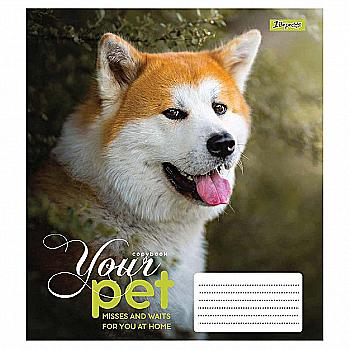 Зошит 24 кл. 1В Dog loyality, 765439 Зошит 24 кл. 1В Dog loyality, 765439