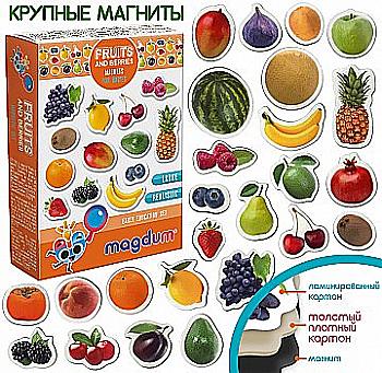 Набір магнітів "Фрукти та ягоди", ML4031-11 EN Набір магнітів "Фрукти та ягоди", ML4031-11 EN