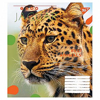 Тетрадь 24 кл. YES Animal, 764987