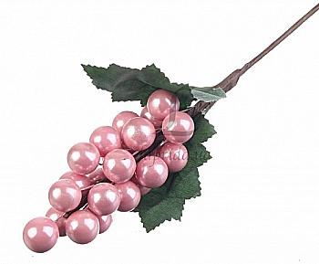 Виноград декоративний "Рожевий", 5-61693