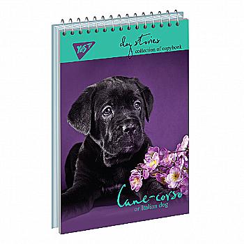 Тетрадь А6 80 кл YES од. сп. "Dog stories", 681733 Тетрадь А6 80 кл YES од. сп. "Dog stories", 681733