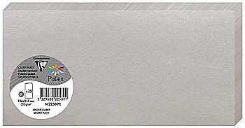 Заготовка д/открыток сложенная Pollen 106*213 мм/210 г, Silver/Серебряный, 22589C Заготовка д/открыток сложенная Pollen 106*213 мм/210 г, Silver/Серебряный, 22589C