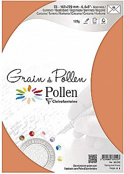 Конверт декоративный Pollen зернистый 162*229 мм/120 г, Tumeric/Куркума, 33422C Конверт декоративный Pollen зернистый 162*229 мм/120 г, Tumeric/Куркума, 33422C