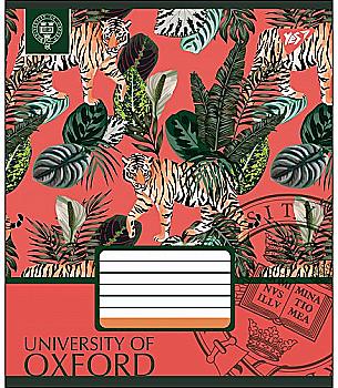 Зошит 18 кл YES "Oxford", 764664