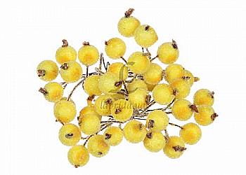 Калина декоративна , 5-60443