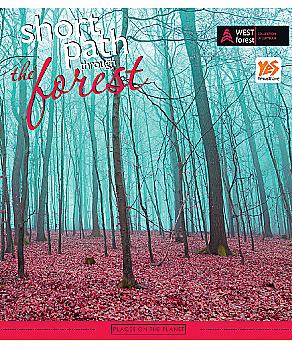 Зошит 48 кл. YES Forest path-17, ірідіум, 761086 (8926) Зошит 48 кл. YES Forest path-17, ірідіум, 761086 (8926)
