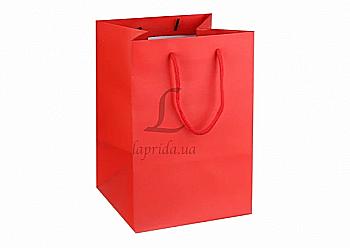 Подарунковий пакет 17,5*25,5*17 см, 31-4446