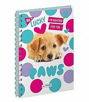 Тетрадь А6 80 кл YES од. сп. "Lovely paws", 681736 Тетрадь А6 80 кл YES од. сп. "Lovely paws", 681736