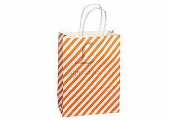 Подарочный пакет 16*22*8 см, 3-1904-076