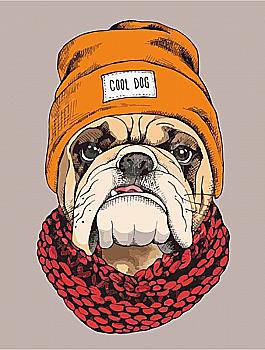 Полотно на картоні з контуром "Pop Art Cool Dog" 30*40, бавовна, акрил, Rosa Start Полотно на картоні з контуром "Pop Art Cool Dog" 30*40, бавовна, акрил, Rosa Start