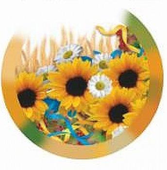 Значок № 2.12 "Соняшники з квітами" Значок № 2.12 "Соняшники з квітами"