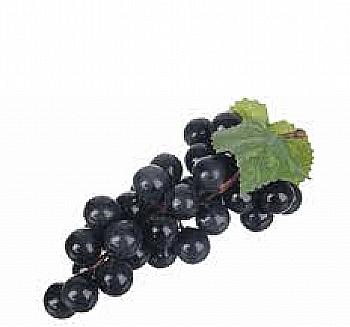 Виноград декоративный "Черный", 5-60429
