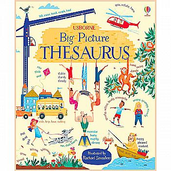Книга "Big Picture Thesauru" (а) (8749)