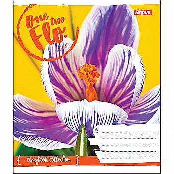 Зошит 36 кл. 1В One Two Flo, 764603 Зошит 36 кл. 1В One Two Flo, 764603