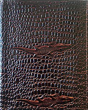 Визитница горизонтальная на две секции 12-2-РС6