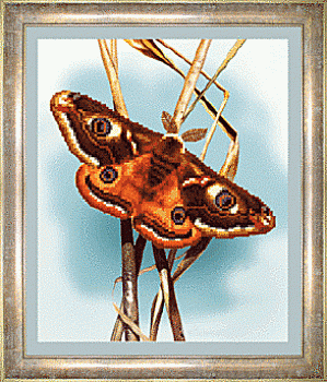 Схема для вышивания бисером СБ-031 21*25,5 см на авторской канве ТМ "Чарівна мить"