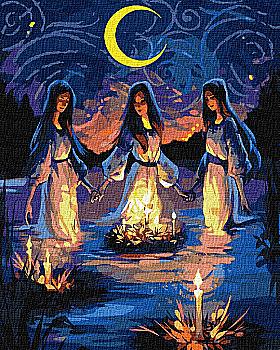 Набір для розпису по номерах 40*50 см "Магічна ніч", KHO4968