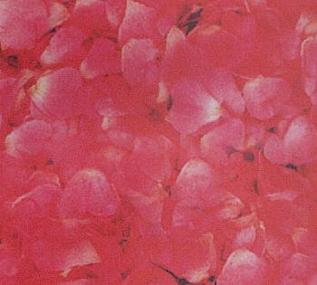 Калька "Флора"115г. 21*30см Пелюстки троянд UR 50214606R