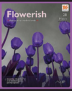 Зошит 96 лін. YES Flowerish-17, ірідіум, 761219 (1179) Зошит 96 лін. YES Flowerish-17, ірідіум, 761219 (1179)