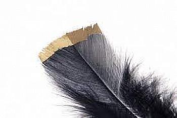 Перо індички, 5-56255