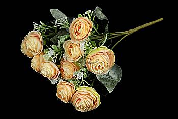 Розы декоративные, 5-53384