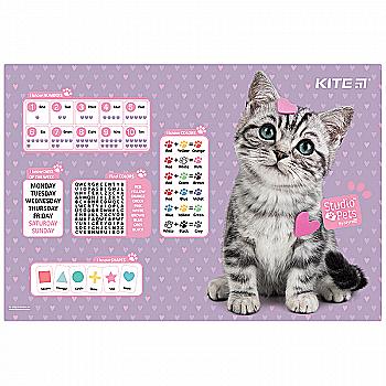 Підкладка для письма настільна PP SP, 42,5*29 см, SP22-207 Підкладка для письма настільна PP SP, 42,5*29 см, SP22-207