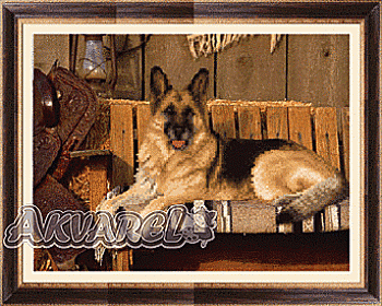 Схема для вышивания бисером СБ-149 29*22 см на авторской канве ТМ "Чарівна мить"