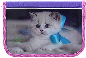 Пенал "Lovely Kitties", 2 від., 99501, Class Пенал "Lovely Kitties", 2 від., 99501, Class