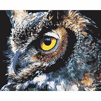 Картина по номерам 40*50 см "Сова", 954278 Santi