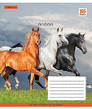 Зошит 48 кл. YES Herd of horses-17, 761108 (9039) Зошит 48 кл. YES Herd of horses-17, 761108 (9039)