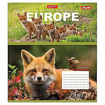 Зошит 24 кл. 1В Earth animal, 764904