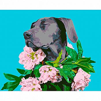 Набір для розпису по номерах 40*50 см "Ніжність", 954211