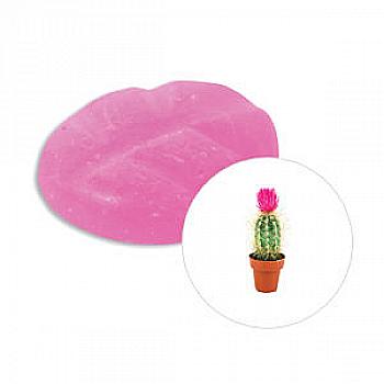 Аромасвічка Scentchips Cactus Flower/Квітка кактуса, 251382 Аромасвічка Scentchips Cactus Flower/Квітка кактуса, 251382