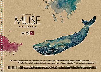 Альбом для малювання А4 30 арк. "Muse" крафт картон на спіралі (0262) Альбом для малювання А4 30 арк. "Muse" крафт картон на спіралі (0262)