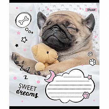 Зошит 24 лін. 1В Sweet dreams, 765905 Зошит 24 лін. 1В Sweet dreams, 765905