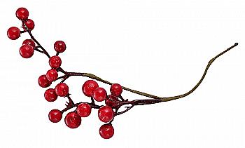 Ягоди смородина бордова, 20 шт. на гілочці, 972783