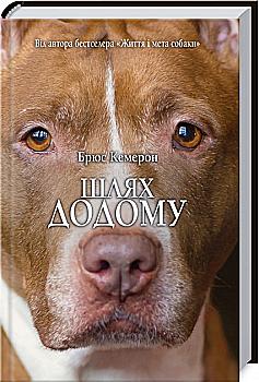 Книга "Кэмерон Б. Путь домой" (у) (0893) Книга "Кэмерон Б. Путь домой" (у) (0893)