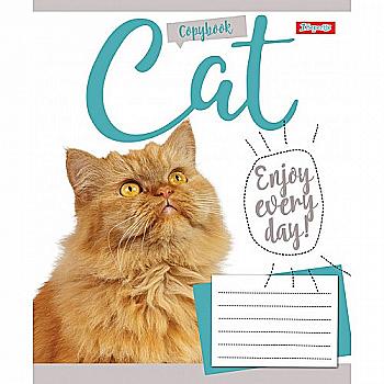 Зошит 18 лін. 1В Cat, 764070 Зошит 18 лін. 1В Cat, 764070