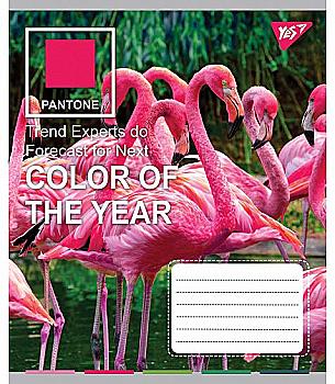 Тетрадь 24 лин. YES "Pantone", 764105 Тетрадь 24 лин. YES "Pantone", 764105