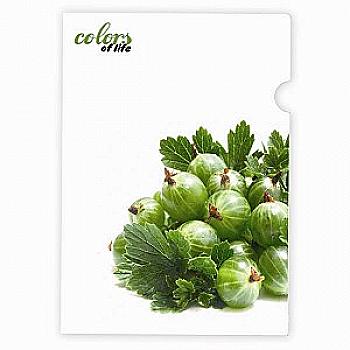 Папка-куточок А4, Colors of Life, Агрус SK-310CL Папка-куточок А4, Colors of Life, Агрус SK-310CL