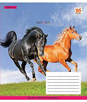 Зошит 48 лін. YES Herd of horses-17, 761147 (9237) Зошит 48 лін. YES Herd of horses-17, 761147 (9237)