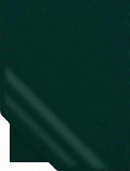 Дневник датированый 2018, А5, "Light", тем-зеленый, 352-ББ-Л-Ю76376