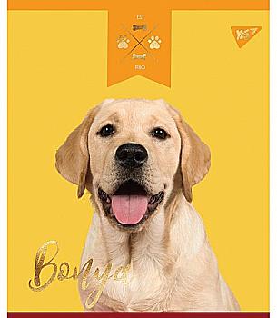 Зошит 12 кос. YES Elegant Dog, 764244 Зошит 12 кос. YES Elegant Dog, 764244