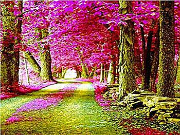 Набір для розпису по номерах 40*50 см "Дорога в лісі", RA3778 Набір для розпису по номерах 40*50 см "Дорога в лісі", RA3778