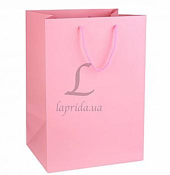 Подарунковий пакет 26*38*21 см, 31-4644