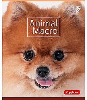 Тетрадь 18 кл YES "Animal Macro", 764267