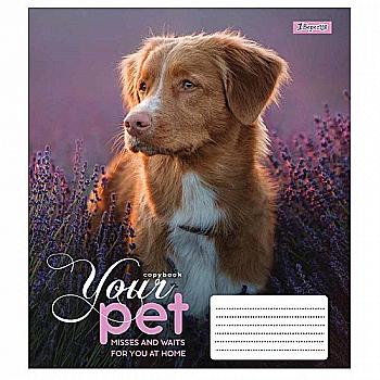 Зошит 48 кл. 1В Dog loyality, 765463 Зошит 48 кл. 1В Dog loyality, 765463