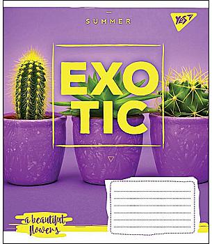 Зошит 24 кл YES "Summer exotic", 764716