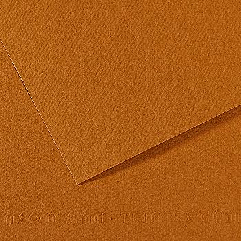 Бумага для пастели MI-TEINTES 50*65 см 160 г/м2 №502, светло-коричневый Canson Бумага для пастели MI-TEINTES 50*65 см 160 г/м2 №502, светло-коричневый Canson